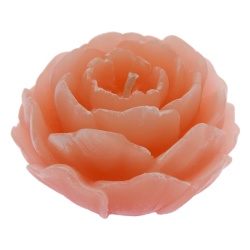 VELA FLOR PEONIA SALMON