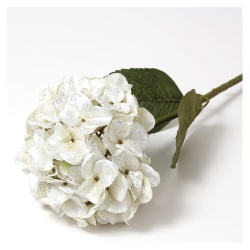 HORTENSIA BLANCA Y PLATA