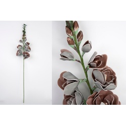 VARA FLORES FOAM MARRON