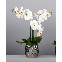 MACETA ORQUIDEA PHALAENOPSIS BLANCA