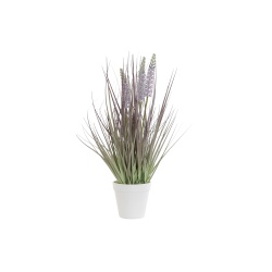 PLANTA LAVANDA BLANCO