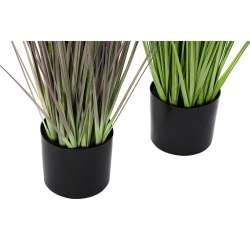 PLANTA PVC CARDO 