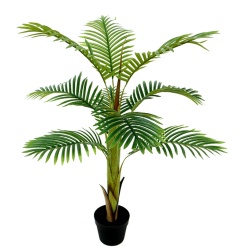 PLANTA PALMERA 