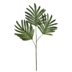 HOJA PALMERA