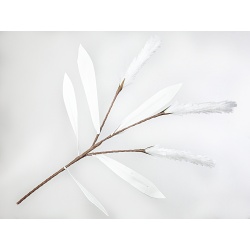 RAMA PLUMEROS BLANCO