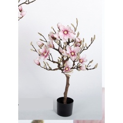 MACETA MAGNOLIA ROSA