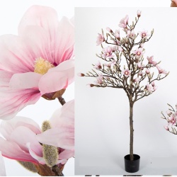 MACETA MAGNOLIA ROSA