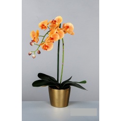 MACETA ORQUIDEA MELOCOTON